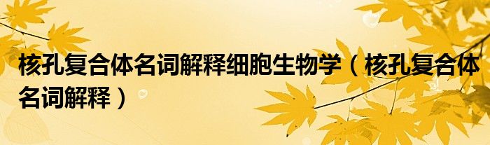 核孔复合体名词解释细胞生物学(核孔复合体名词解释)