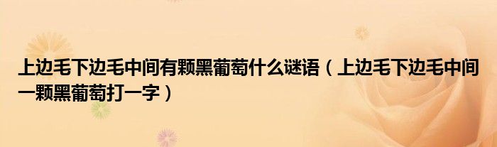 上边毛下边毛中间有颗黑葡萄什么谜语(上边毛下边毛中间一颗黑葡萄打一字)