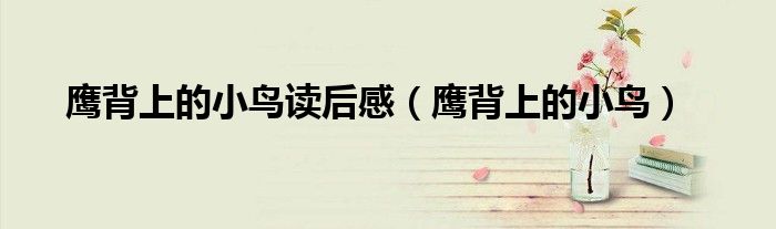 鹰背上的小鸟读后感(鹰背上的小鸟)