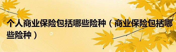 个人商业保险包括哪些险种(商业保险包括哪些险种)