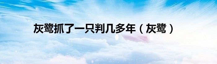 灰鹭抓了一只判几多年(灰鹭)