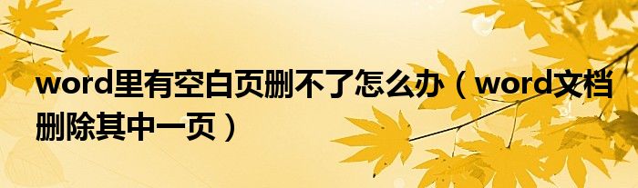 word里有空白页删不了怎么办(word文档删除其中一页)