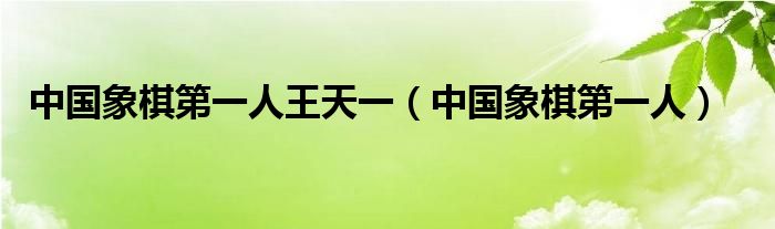 中国象棋第一人王天一(中国象棋第一人)
