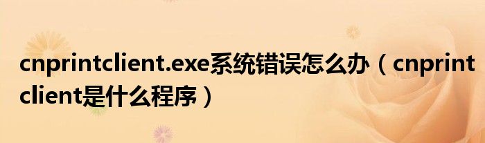 cnprintclient.exe系统错误怎么办(cnprintclient是什么程序)