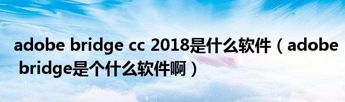 adobe bridge cc 2018是什么软件(adobe bridge是个什么软件啊)