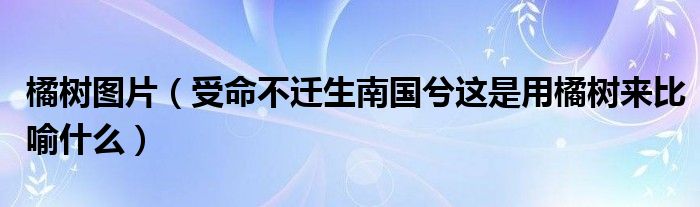 橘树图片(受命不迁生南国兮这是用橘树来比喻什么)
