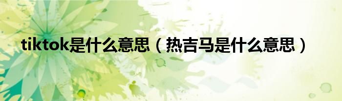 tiktok是什么意思(热吉马是什么意思)