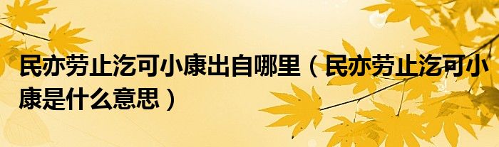 民亦劳止汔可小康出自哪里(民亦劳止汔可小康是什么意思)