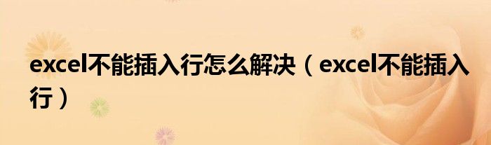 excel不能插入行怎么解决(excel不能插入行)