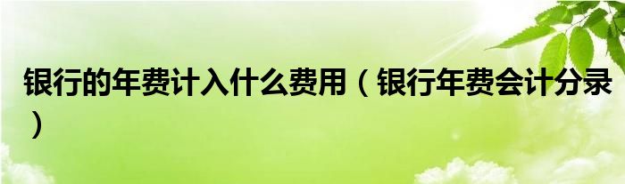 银行的年费计入什么费用(银行年费会计分录)