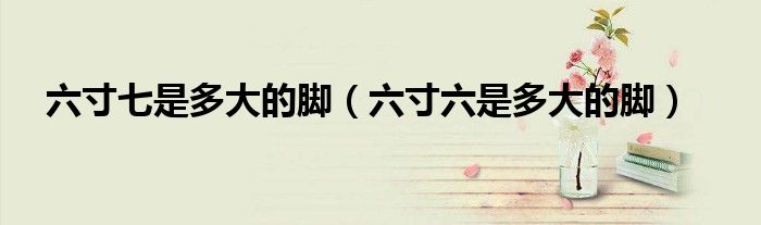 六寸七是多大的脚(六寸六是多大的脚)