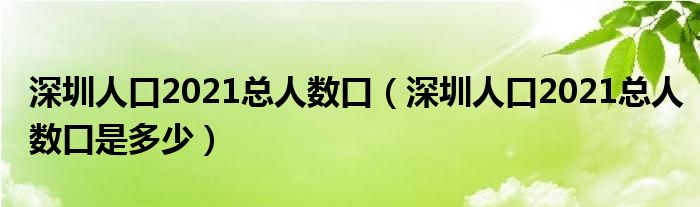 深圳人口2021总人数口(深圳人口2021总人数口是多少)
