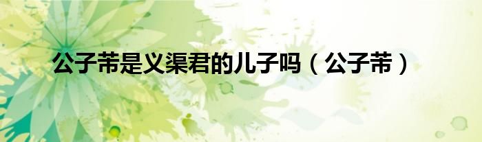 公子芾是义渠君的儿子吗(公子芾)