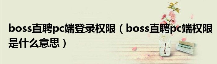 boss直聘pc端登录权限(boss直聘pc端权限是什么意思)