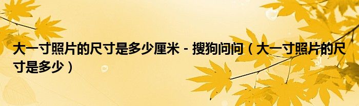 大一寸照片的尺寸是多少厘米 - 搜狗问问(大一寸照片的尺寸是多少)