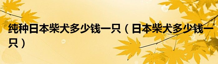 纯种日本柴犬多少钱一只(日本柴犬多少钱一只)