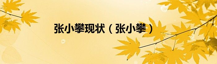 张小攀现状（张小攀）