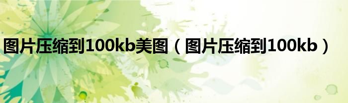 图片压缩到100kb美图(图片压缩到100kb)