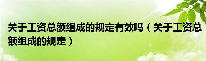 关于工资总额组成的规定有效吗(关于工资总额组成的规定)