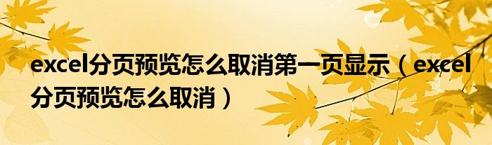 excel分页预览怎么取消第一页显示(excel分页预览怎么取消)