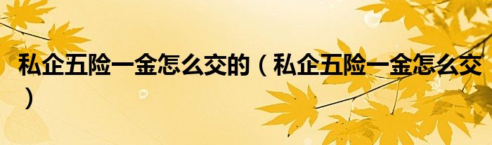 私企五险一金怎么交的(私企五险一金怎么交)