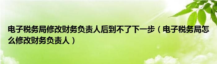 电子税务局修改财务负责人后到不了下一步(电子税务局怎么修改财务负责人)