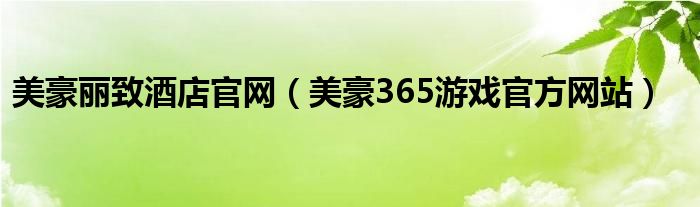 美豪丽致酒店官网(美豪365游戏官方网站)