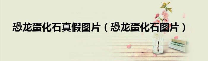 恐龙蛋化石真假图片(恐龙蛋化石图片)