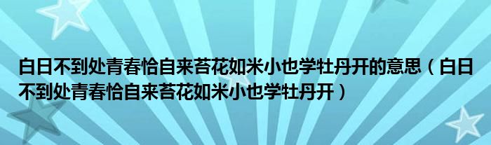 白日不到处青春恰自来苔花如米小也学牡丹开的意思(白日不到处青春恰自来苔花如米小也学牡丹开)