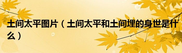 土间太平图片(土间太平和土间埋的身世是什么)
