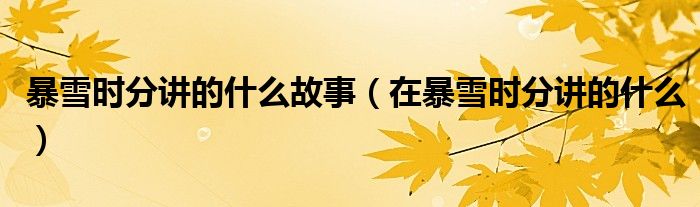 暴雪时分讲的什么故事(在暴雪时分讲的什么)