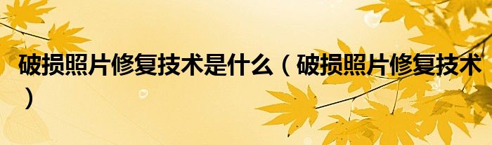 破损照片修复技术是什么(破损照片修复技术)