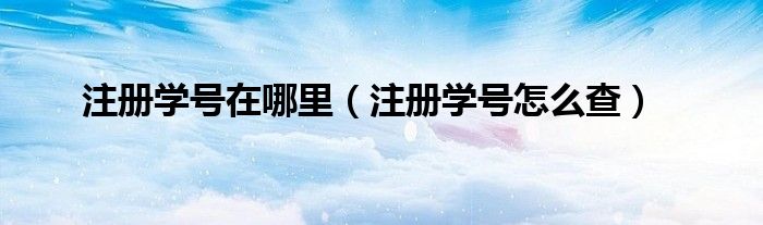 注册学号在哪里(注册学号怎么查)