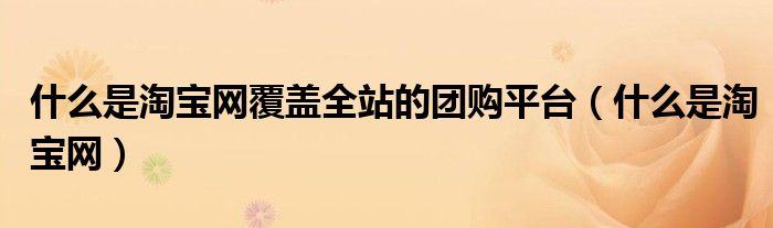 什么是淘宝网覆盖全站的团购平台(什么是淘宝网)