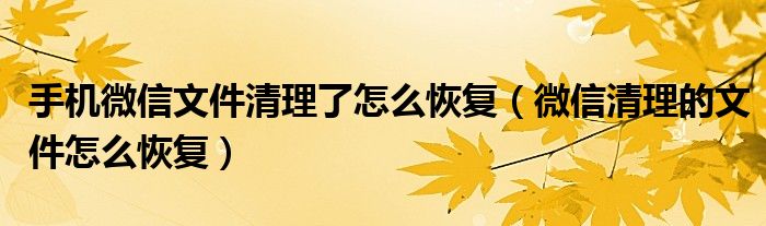 手机微信文件清理了怎么恢复(微信清理的文件怎么恢复)