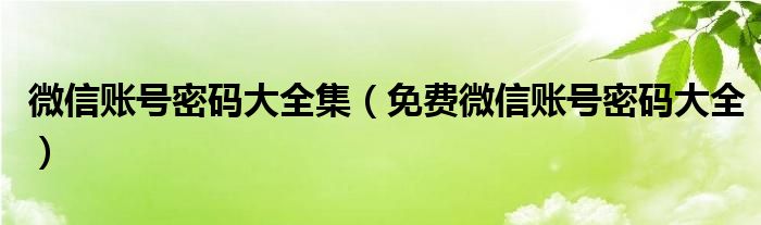 微信账号密码大全集(免费微信账号密码大全)