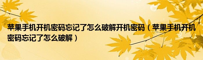 苹果手机开机密码忘记了怎么破解开机密码(苹果手机开机密码忘记了怎么破解)