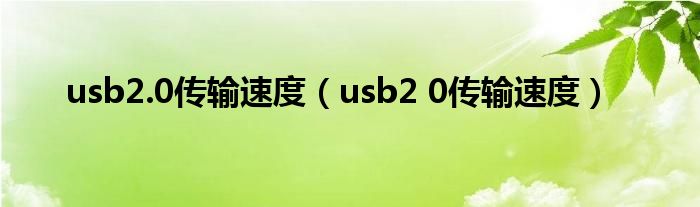 usb2.0传输速度(usb2 0传输速度)