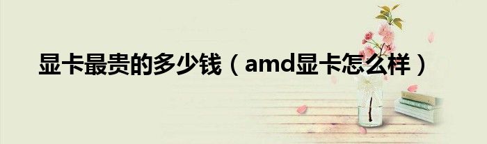 显卡最贵的多少钱(amd显卡怎么样)