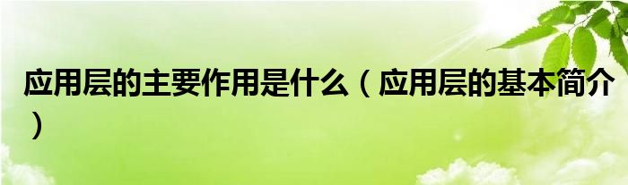应用层的主要作用是什么(应用层的基本简介)