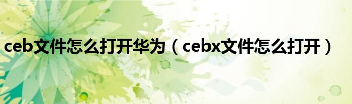 ceb文件怎么打开华为(cebx文件怎么打开)