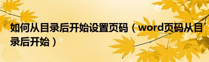 如何从目录后开始设置页码(word页码从目录后开始)
