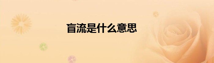 盲流是什么意思