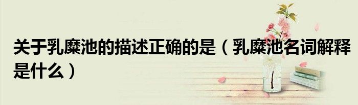 关于乳糜池的描述正确的是(乳糜池名词解释是什么)