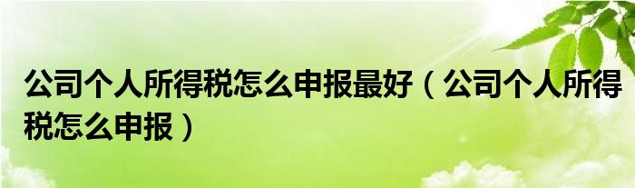 公司个人所得税怎么申报最好(公司个人所得税怎么申报)