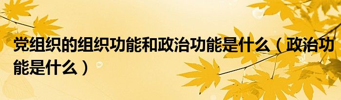 党组织的组织功能和政治功能是什么(政治功能是什么)