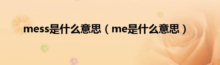 mess是什么意思(me是什么意思)