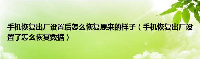 手机恢复出厂设置后怎么恢复原来的样子(手机恢复出厂设置了怎么恢复数据)