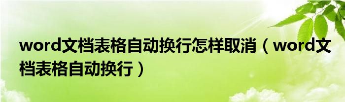 word文档表格自动换行怎样取消(word文档表格自动换行)