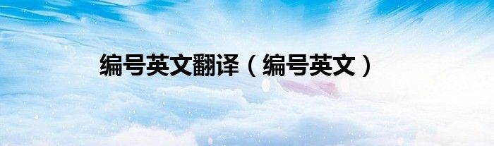 编号英文翻译(编号英文)